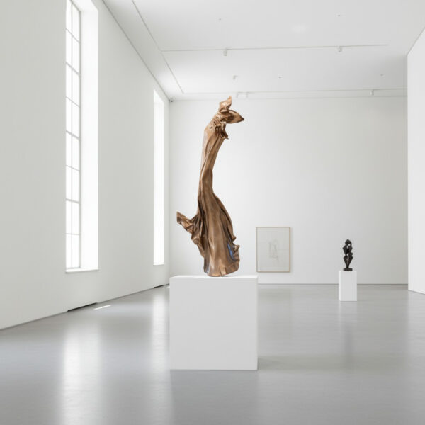 NEW Gallery-1767963482693 (1)