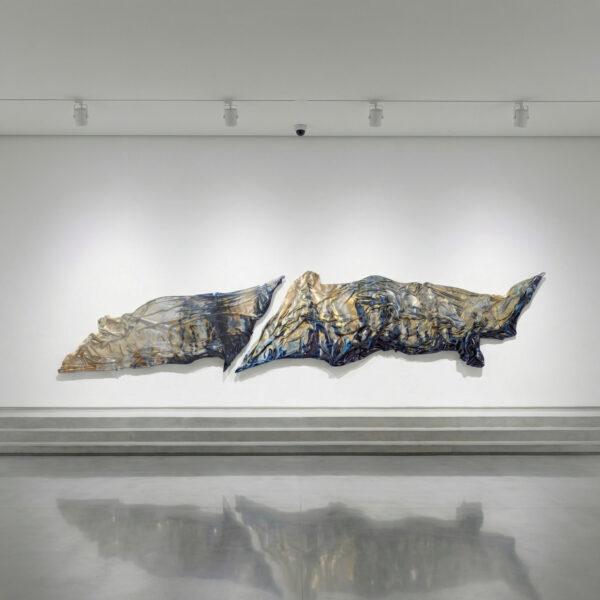 die Schöpfung, NONOS wall Installation art-